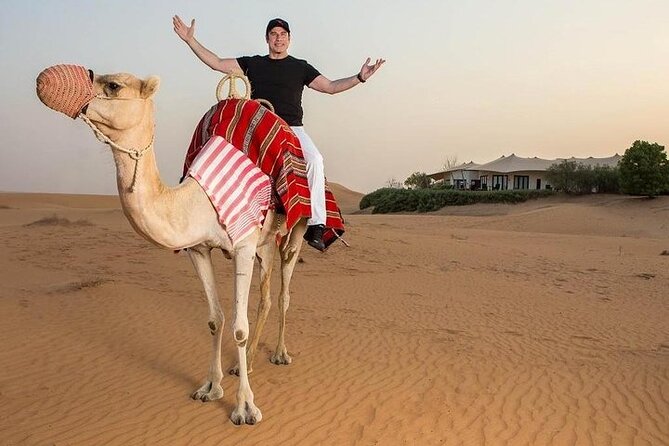 One Hour Horse or Camel Riding with Transfer- Sharm El-Sheikh - Horse vs Camel Choice, Plus the Chance to Try Both