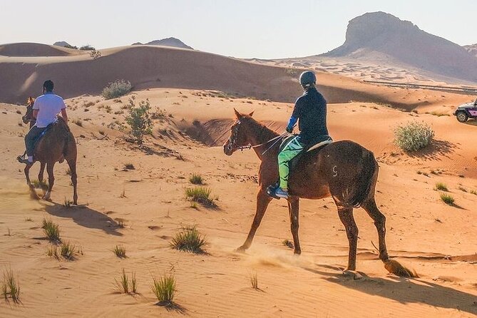 One Hour Horse or Camel Riding with Transfer- Sharm El-Sheikh - Learning From the Saddle: Guides Who Talk and Coach