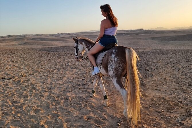 One Hour Horse or Camel Riding with Transfer- Sharm El-Sheikh - How Far You’ll Really Go Into the Desert (and What Limits 1 Hour)