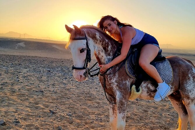 One Hour Horse or Camel Riding with Transfer- Sharm El-Sheikh - The Practical Side: What to Bring and How to Avoid Friction