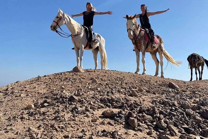 One Hour Horse or Camel Riding with Transfer- Sharm El-Sheikh - Price and Value of the $28 Experience With Transfer