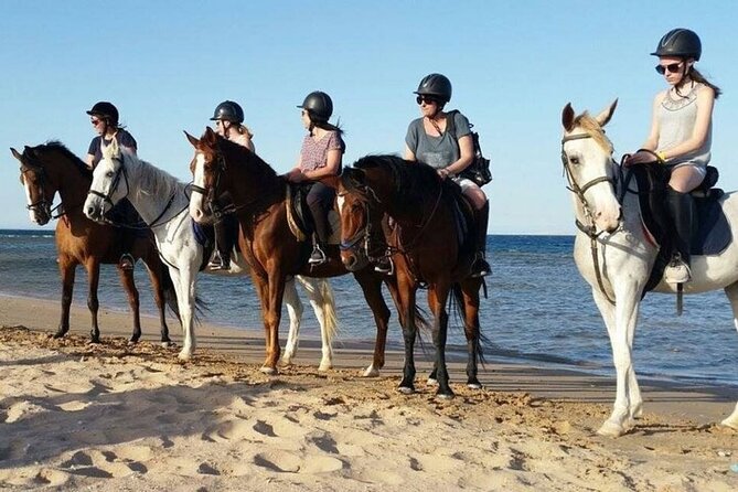 One Hour Horse Riding Beach with Transfer from Hurghada - Quick hits before you go