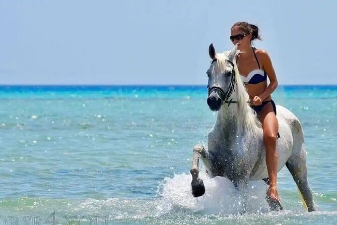One Hour Horse Riding Beach with Transfer from Hurghada - Hurghada hotel transfer: the part that makes it easy