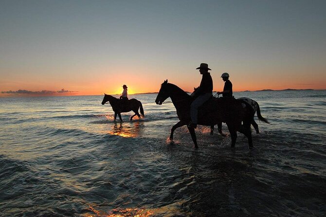 One Hour Horse Riding Beach with Transfer from Hurghada - Red Sea coastline views: why the route is worth your time