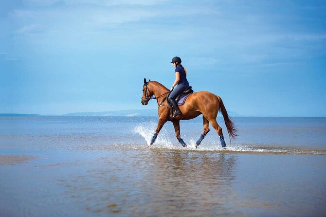 One Hour Horse Riding Beach with Transfer from Hurghada - Price and value: why $8.45 can still make sense