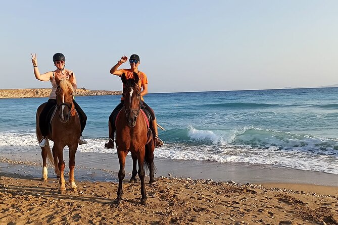 One Hour Horse Riding Beach with Transfer from Hurghada - What to watch out for before booking
