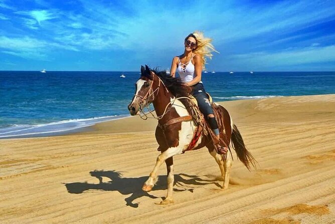 One Hour Horse Riding Beach with Transfer from Hurghada - Who this one-hour beach ride is best for