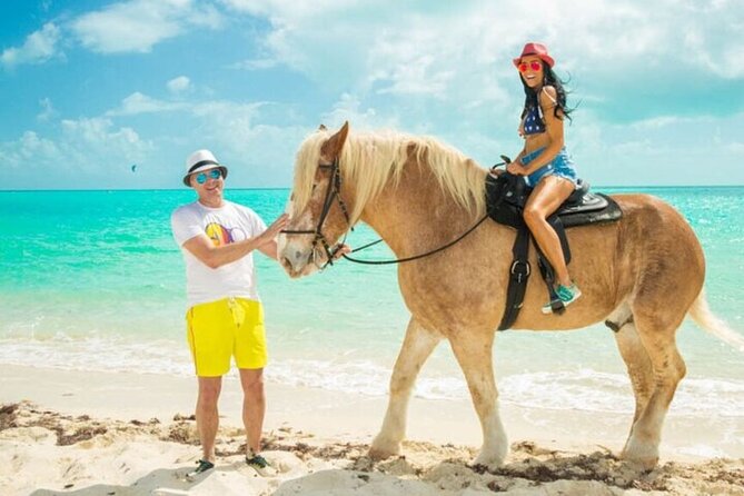 One Hour Horse Riding Beach with Transfer from Hurghada - The one-hour itinerary: what the ride actually feels like
