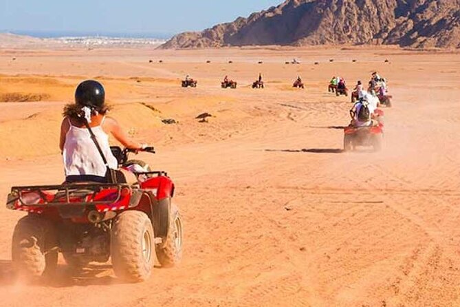 One_Hour Family Safari Quad and Buggy Driving from Hurghada - Key Highlights Before You Go