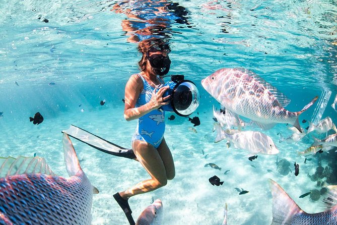 Orange Bay Full-Day Snorkeling With lunch - Service and group size: what the vibe is like