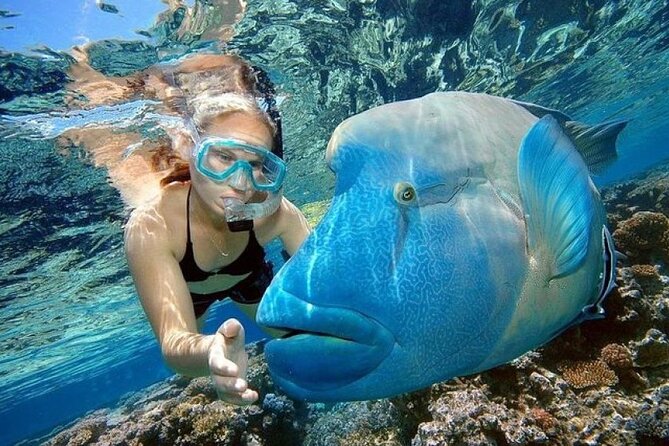 Orange Bay Island 2 Snorkeling Stops Water Sports Romantic Escape - Orange Bay Island: The Two-Hour Beach Break You’ll Remember