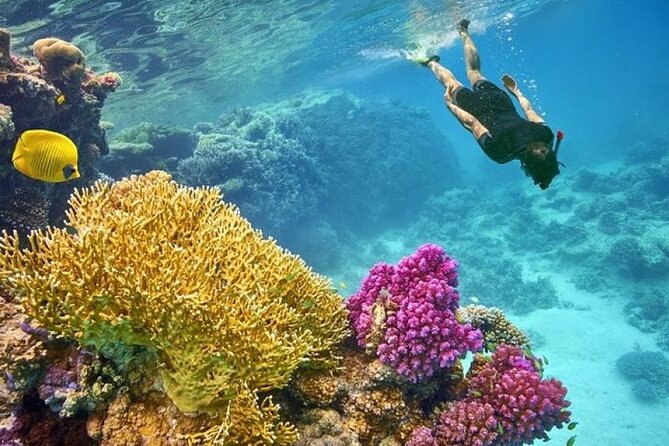 Orange Bay Island 2 Snorkeling Stops Water Sports Romantic Escape - Banana Rides and the Crazy Sofa: Water Sports That Actually Deliver