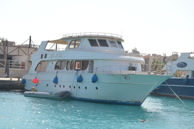 Orange Bay Island - Who this cruise is best for (and who should think twice)