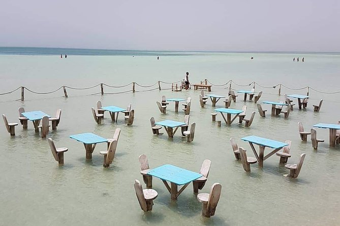 Orange Bay Island By Private Speedboat & snorkeling & Water Sport - Hurghada - Snorkeling with a guide and provided gear: where the value shows up