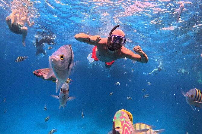 Orange Bay Island Cruise with Breakfast, Lunch and Drinks - Transfers and onboard comfort: air-conditioned ride, ferry transport, and where extra fees hit