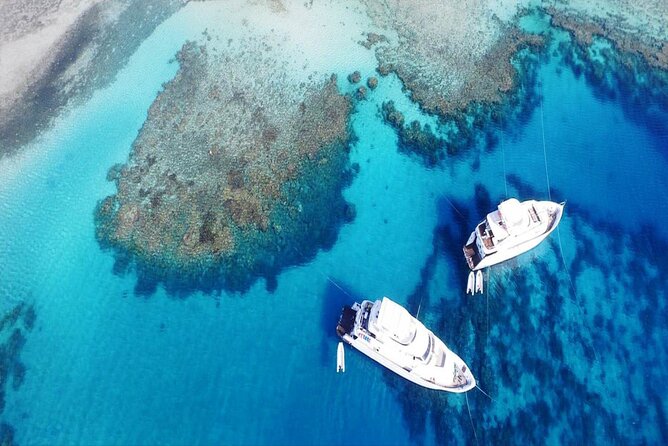 Orange Bay island Maldives of Egypt snorkeling Private 4 hours - Key Highlights You’ll Care About