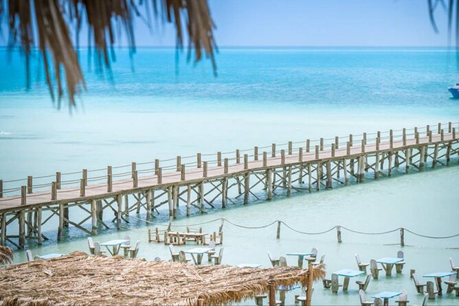 Orange Bay island Maldives of Egypt snorkeling Private 4 hours - Price and logistics: what $139.37 really buys you