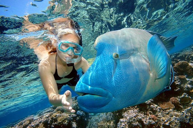 Orange Bay Island Snorkeling Trip With Water Sports - Hurghada - The boat crew experience: friendly, organized, and usually safety-minded