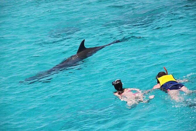 Orange Bay snorkeling tour with Lunch - water sports - The Red Sea cruise: views, sun, and how to stay comfortable