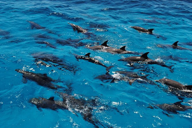 Orange Bay snorkeling tour with Lunch - water sports - Orange Bay snorkeling: gear included, reef time worth the effort