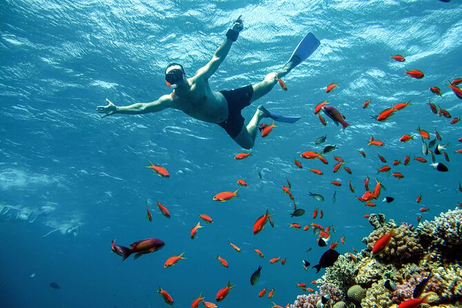 Orange Bay Snorkeling Trip with Lunch & Transfer From Hurghada - Price and logistics: what you really pay (and what you might forget)