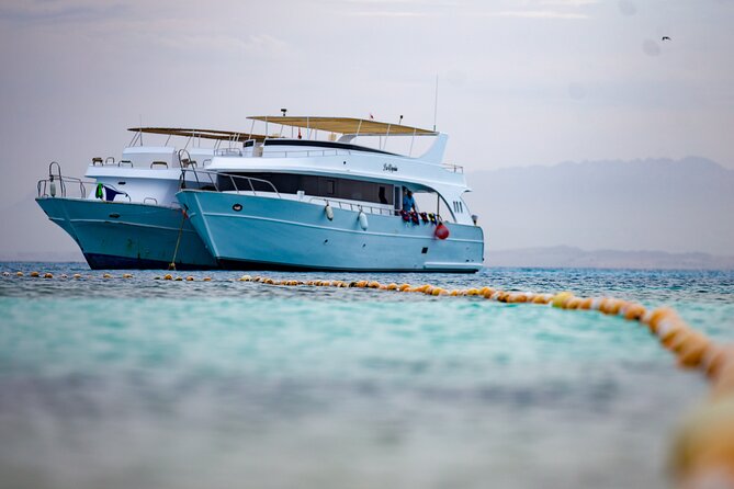 Orange Island Sea Trip Full Day With Lunch & transfer - Hurghada - The boat cruise on the Red Sea: sun deck time and dolphin-spotting hopes