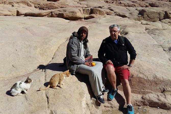 Overnight Trip to Saint Catherine Monastery from Cairo - Saint Catherine Monastery: burning bush tradition and an ancient library
