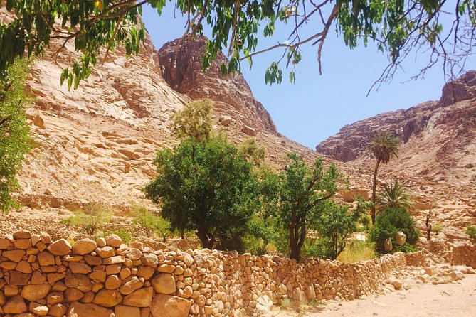 Overnight Trip to Saint Catherine Monastery from Cairo - Logistics that can make or break your morning