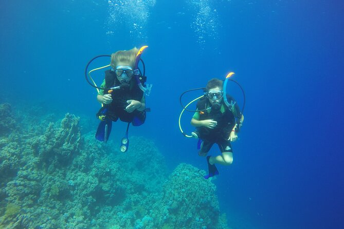 PADI 3 Days Open Water Course - Why Sharm el Sheikh Fits a PADI Open Water Course