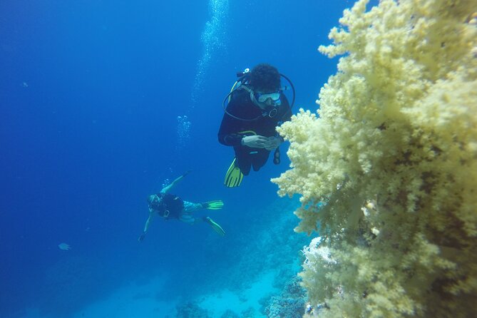 PADI 3 Days Open Water Course - What You Earn: PADI Open Water Certification That Lasts