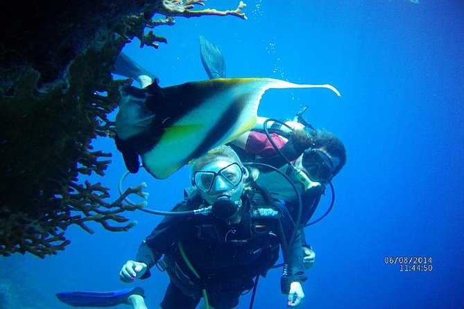 PADI 3 Days Open Water Course - Day 1: Classroom Theory, Quizzes, and Safety Basics