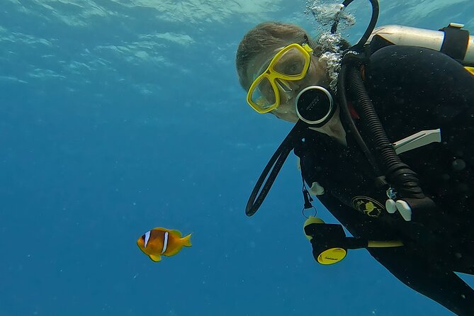 PADI Advanced Diving Course in Hurghada - Learn Scuba Diving - Day one: the Deep and Navigation specialties, plus one adventure you choose
