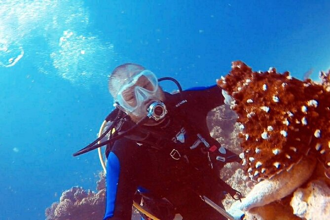 PADI Open Water Diver Course in Hurghada - Learn Scuba Diving - Why Hurghada is a solid place to start your Open Water path