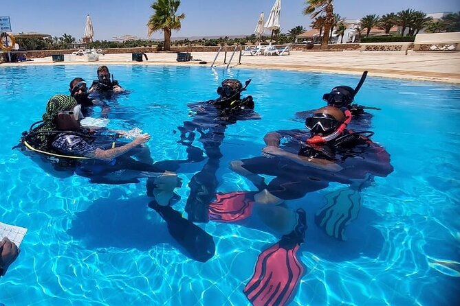 PADI Open Water Diver Course in Hurghada - Learn Scuba Diving - The 3-day flow: video, manual, then in-water skills to 18 meters