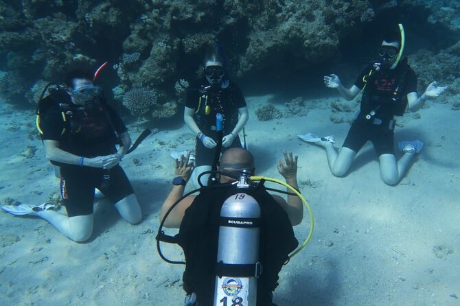 PADI Open Water Diver Course - Instructors and safety: what you should expect on the practical side