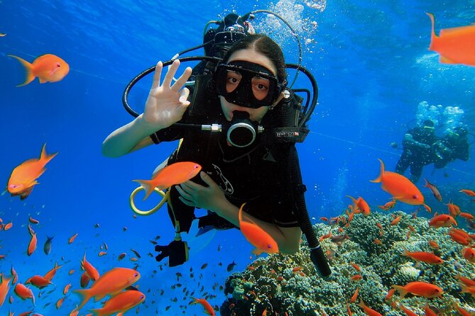 PADI Scuba Diver (PSD) - Key points before you commit