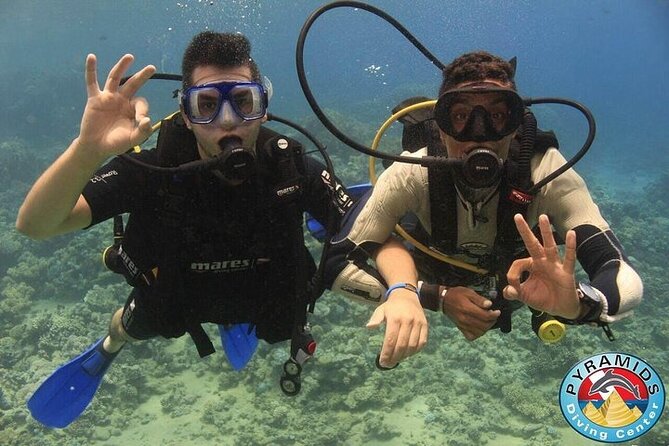 PADI Scuba Diver (PSD) - Equipment and instruction: what to look for during your course