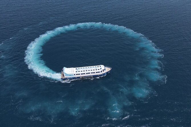Panorama Semi-Submarine Snorkeling Sea Trip - Hurghada - Price and Value: The $9 Ticket Plus the Cash Extras