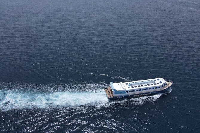 Panorama Semi Submarine Snorkelling Cruise in Makadi Bay - The diver show: fun energy without taking over the main event