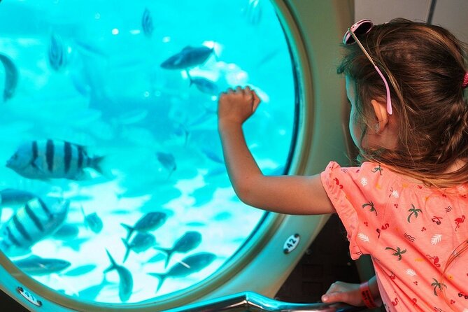 Panorama Semi Submarine Snorkelling Cruise in Makadi Bay - Price and value: $15 sounds low, but add up the extras smartly