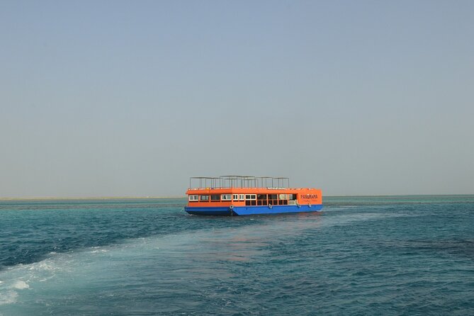 Panorama Semi Submarine Snorkelling Sea Trip from Hurghada - Glass-bottom coral viewing: What you’ll notice from above