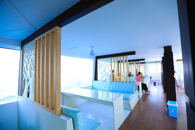 Paradise Catamaran Conquest 2 Hours Semi Submarine & snorkeling - Hurghada - Price and Value: How $8 Stacks Up With Cash Fees