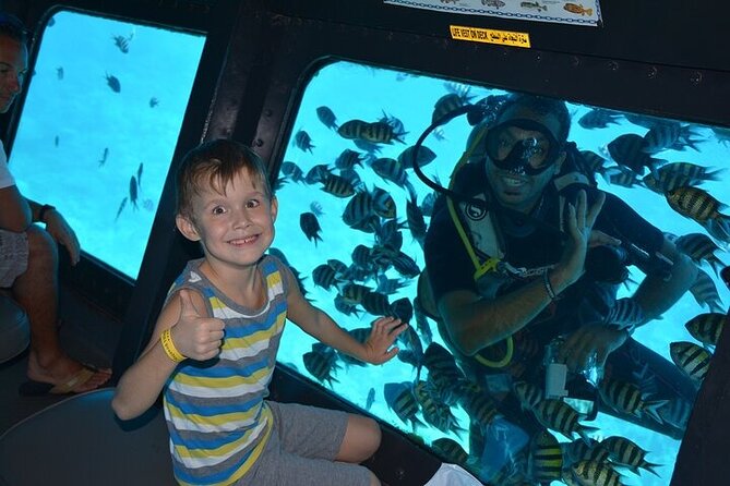 Paradise conquest snorkelling & underwater life adventure - Pickup and return: the quiet detail that makes or breaks tours