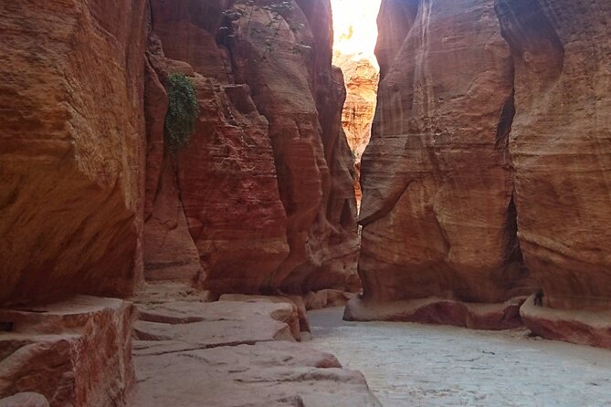 Petra Sightseeing 1 Day Tour From Sharm El Sheikh - Royal Tombs and Qasr Al Bint: Seeing Scale Without Losing Your Day