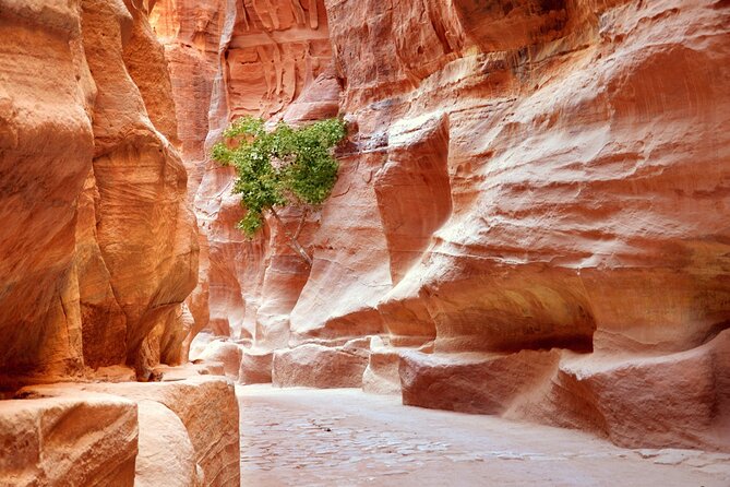 Petra Temple And Jordan full day Tour From Sharm El Sheikh - How comfort and group size affect a day this long