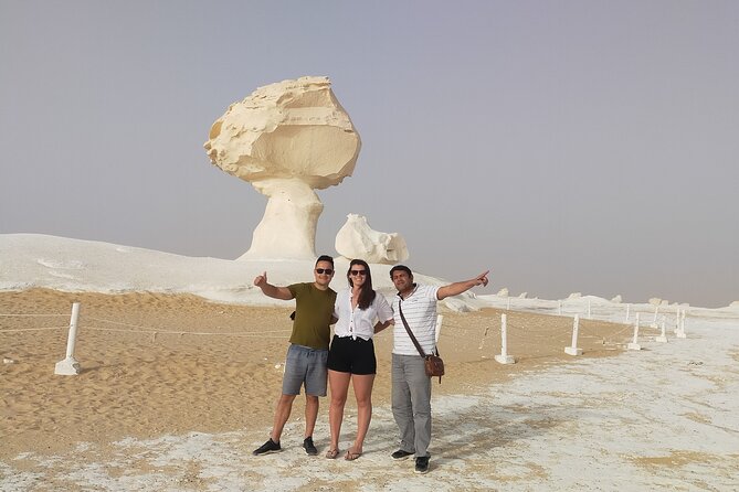 Privat White desert and Bahariya oasis 2 days with camping - The Volcanic Black Desert Stop: Why the Contrast Matters
