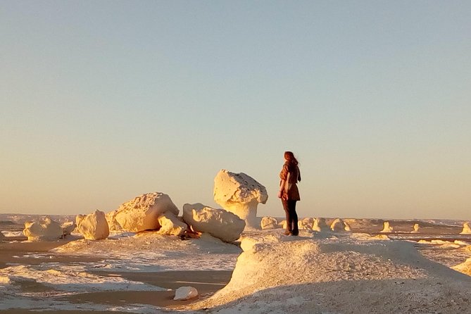 Privat White desert and Bahariya oasis 2 days with camping - Cairo Pickup to Bahariya Oasis: Palm Areas, Salt Lake, and Hot Springs