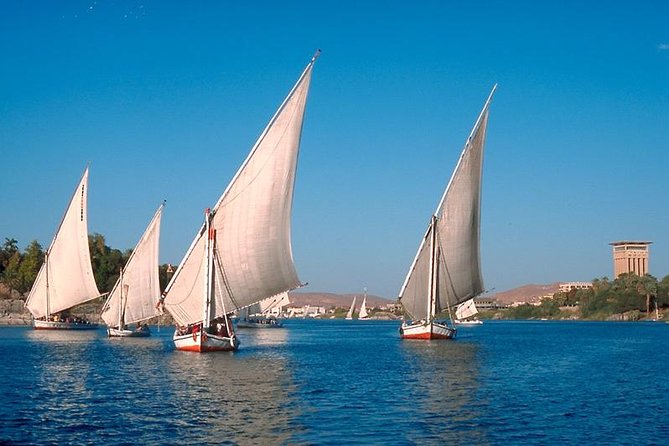 Private 1-Hour Felucca Sailing and Botanical Garden In Aswan - Felucca sailing near Elephantine: what the 1-hour ride is really like