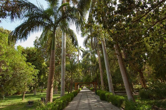 Private 1-Hour Felucca Sailing and Botanical Garden In Aswan - Price and value: is $25 good here?