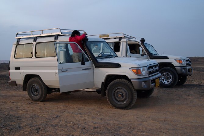 Private 2-Day White Desert and Bahariya Oasis Trip from Cairo - Price and value: $250 per person is fair only if the basics are solid
